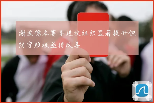 谢泼德本赛季进攻组织显著提升但防守短板亟待改善