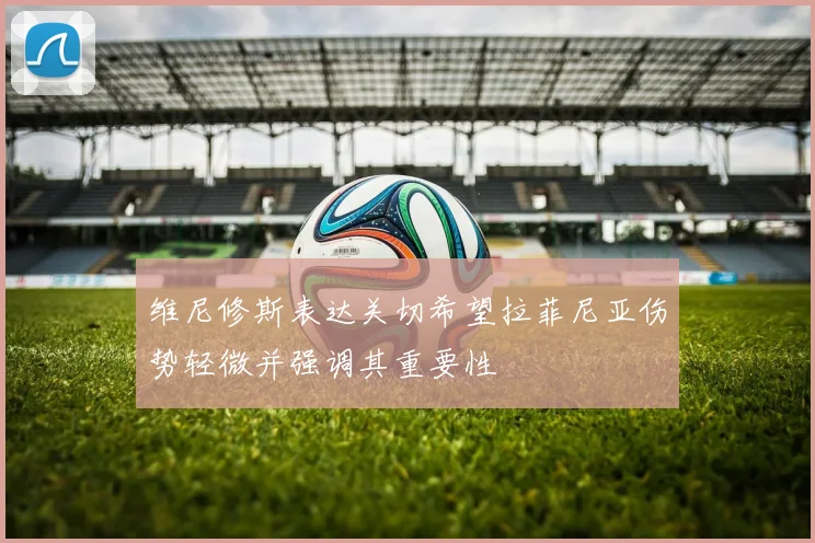 维尼修斯表达关切希望拉菲尼亚伤势轻微并强调其重要性